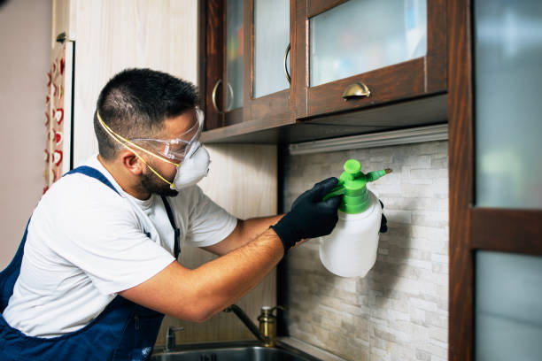 Pest Control for Restaurants in Garden City, MI