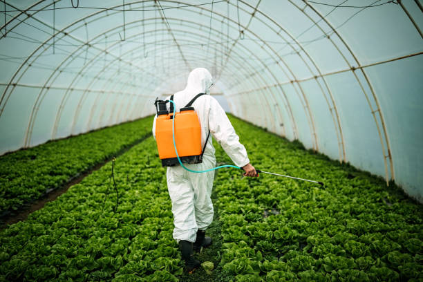 Best Insect Control  in Garden City, MI