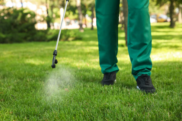Reliable Garden City, MI Pest Control Solutions