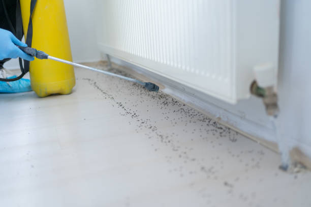 Best Affordable Pest Control Services  in Garden City, MI